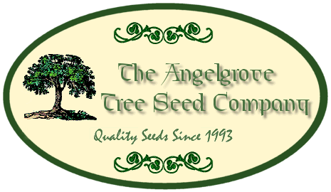 Certified Seed House. Specializing in seeds for growing trees since 1993.
