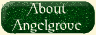 about our seeds and seed company
