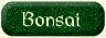 bonsai trees bonsai seeds for growing Bonsai Trees